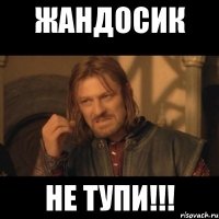 ЖАНДОСИК НЕ ТУПИ!!!