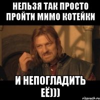 Нельзя так просто пройти мимо котейки и непогладить её)))