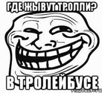 Где жывут тролли? В тролейбусе