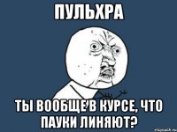 Пульхра Ты вообще в курсе, что пауки линяют?