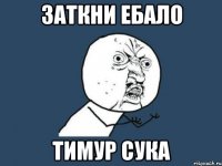 Заткни ебало Тимур сука