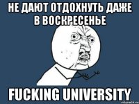 Не дают отдохнуть даже в воскресенье FUCKING University