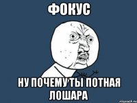 фокус ну почему ты потная лошара