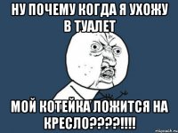 ну почему когда я ухожу в туалет мой котейка ложится на кресло????!!!!