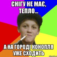 снігу не має, тепло... а на городі конопля уже сходить