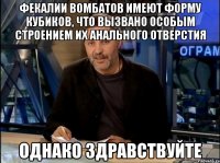 Фекалии вомбатов имеют форму кубиков, что вызвано особым строением их анального отверстия Однако здравствуйте