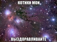 КОТИКИ МОИ ВЫЗДОРАВЛИВАЙТЕ