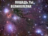 Лошадь,ты великолепна*__* 