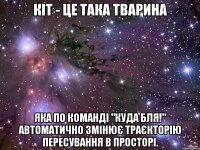 Кіт - це тaка тварина яка по комaнді "КУДА БЛЯ!" aвтомaтично змінює траєкторію пересування в просторі.