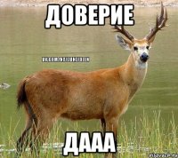 Доверие ДААА