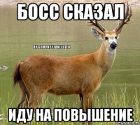 Босс сказал иду на повышение