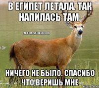 В ЕГИПЕТ ЛЕТАЛА. Так НАПИЛАСЬ ТАМ. НИЧЕГО НЕ БЫЛО. Спасибо что веришь мне