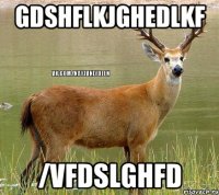 gdshflkjghedlkf /vfdslghfd