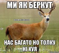 Ми як беркут Нас багато но толку ні хуя