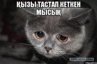 қызы тастап кеткен мысық 