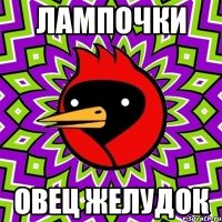 лампочки овец желудок