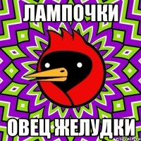 лампочки овец желудки