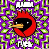 Даша гусь