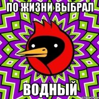 по жизни выбрал ВОДНЫЙ