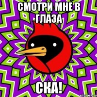смотри мне в глаза ска!