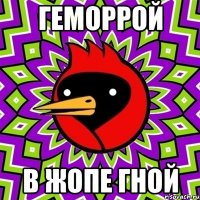 Геморрой в жопе гной