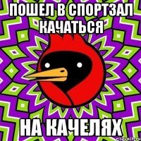 Пошел в спортзал качаться на качелях