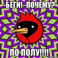 -беги! -Почему? ПО ПОЛУ!!!!