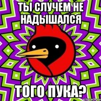 ТЫ СЛУЧЕМ НЕ НАДЫШАЛСЯ ТОГО ПУКА?