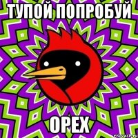 тупой попробуй орех