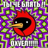 ТЫ ЧЕ БЛЯТЬ !! ОХУЕЛ!!!!!
