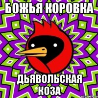 Божья коровка дьявольская коза