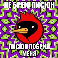 не брею писюн писюн побрил меня