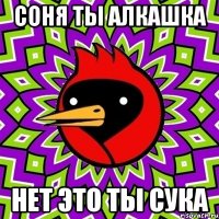 соня ты алкашка нет это ты сука