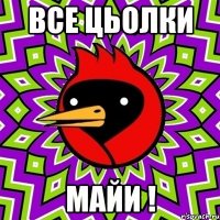 все цьолки майи !