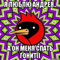 я Люблю Андрея.. а он меня спать гонит((