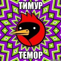 ТИМУР ТЕМОР