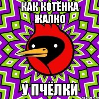 КАК КОТЁНКА ЖАЛКО У ПЧЁЛКИ