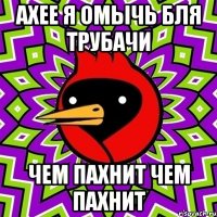 ахее я омычь бля трубачи чем пахнит чем пахнит