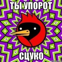 Ты упорот Сцуко