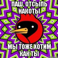 Паш, отсыпь накоты Мы тоже хотим как ты