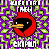 Нашел в лесу грибы Скурил