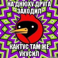 На днюху друга заходил Кактус там же укусил