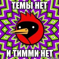 ТЕМЫ НЕТ И ТИММИ НЕТ