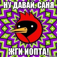 Ну давай, Саня ЖГИ ИОПТА!
