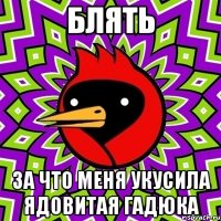 Блять За что меня укусила Ядовитая гадюка