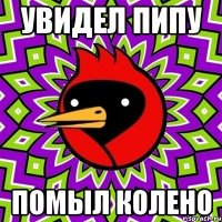 Увидел Пипу Помыл Колено