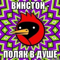 Винстон - поляк в душе