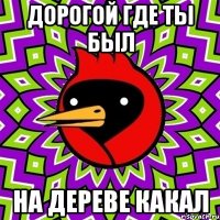 Дорогой где ты был На дереве какал