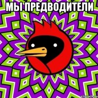 мы предводители 