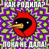Как родила? Пока не дала!